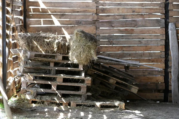 Zdjęcie starej stodoły — Zdjęcie stockowe