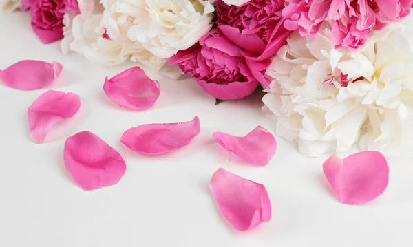 Hermosas peonías rosadas, aisladas en blanco —  Fotos de Stock