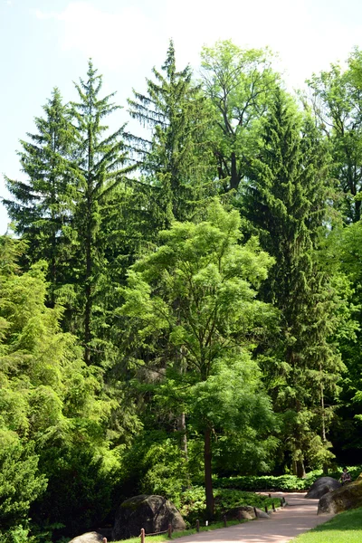 Bellissimo parco all'aperto — Foto Stock