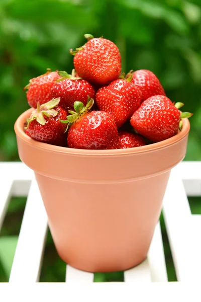 Ripe sweet strawberries — Stock Photo, Image