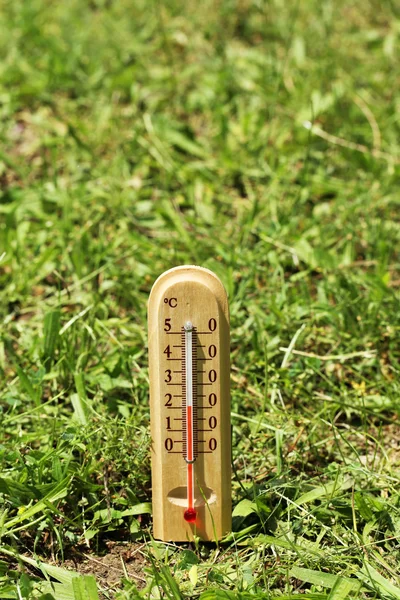 Thermometer on grass close-up — Stock Photo, Image