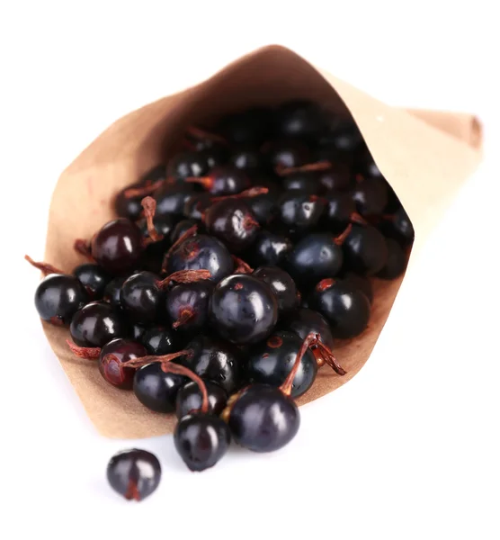 Black currant berries in paper bag isolated on white — Stock Photo, Image
