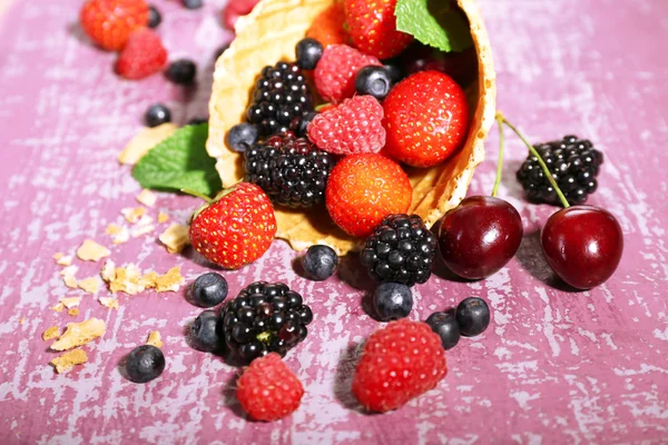 Different ripe berries — Stock Photo, Image