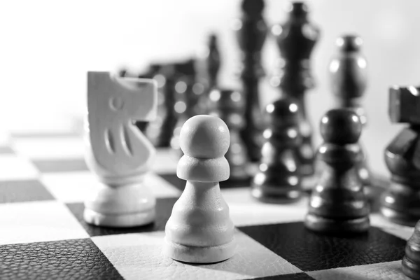 Sjakkbrett med sjakkbrikker isolert på hvitt – stockfoto