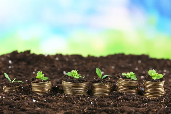 Concept d'entreprise : pièces d'or dans le sol avec de jeunes plantes sur fond de nature — Photo