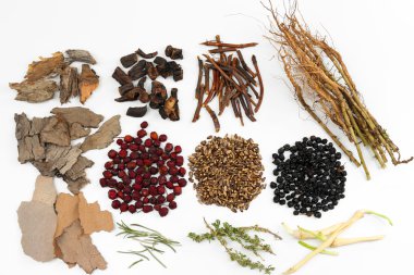 geleneksel Çin Bitkisel Tıp malzemeleri, üzerinde beyaz izole