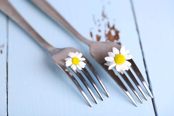 Forks with daisy flowers — Stock Photo, Image