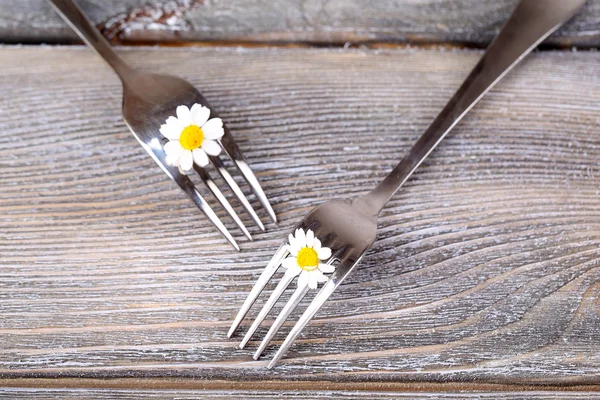 Forks with daisy flowers — Stock Photo, Image