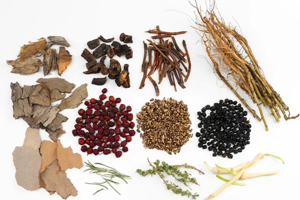 Ingredientes tradicionales de la medicina herbal china, aislados en blanco —  Fotos de Stock