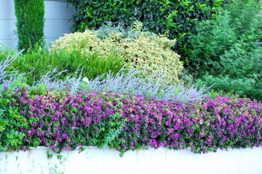 Güzel bahçe peyzaj