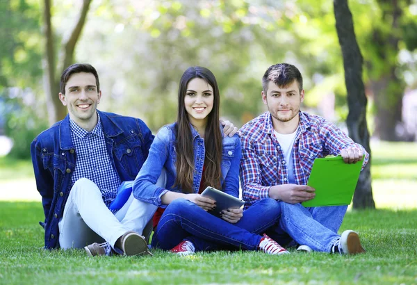 Šťastní studenti sedí v parku — Stock fotografie