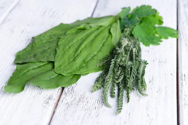 Medicinal herbs on table close-up — Stock Photo, Image