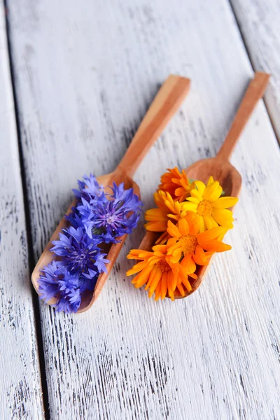 Fiori di mais e calendula in cucchiai di legno sulla tavola primo piano — Foto Stock