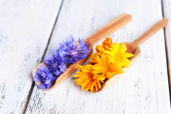 Fleurs de bleuet et calendula dans des cuillères en bois sur la table close-up — Photo