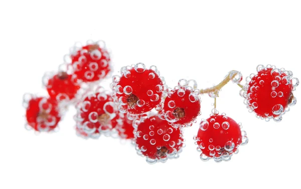 Beautiful ripe red currant in water with bubbles, isolated on white — Stock Photo, Image