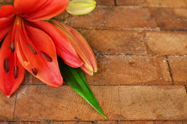 Beautiful lily on wooden background — Stock Photo, Image