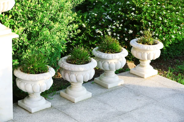 Jardinières en pierre avec fleurs dans le jardin — Photo