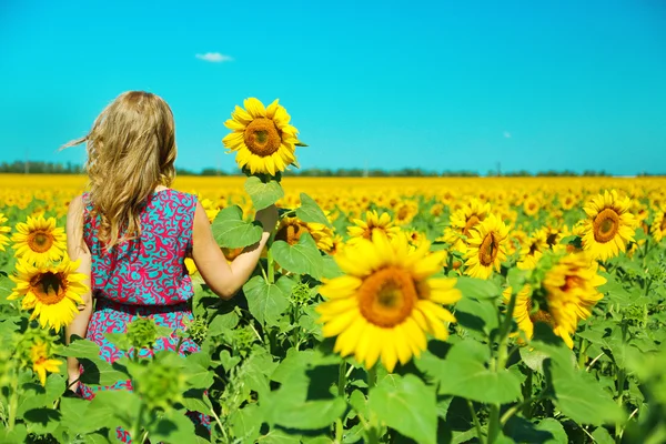 Молода жінка в соняшниковому полі — стокове фото