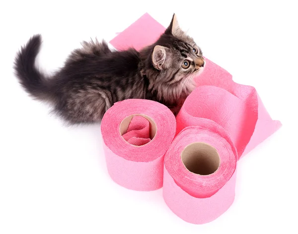 Lindo gatito jugando con rollo de papel higiénico, aislado en blanco — Foto de Stock