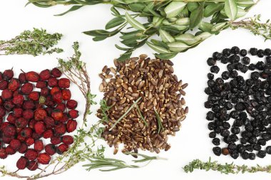 geleneksel Çin Bitkisel Tıp