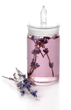 çiçekli beyaz izole lavanta yağı