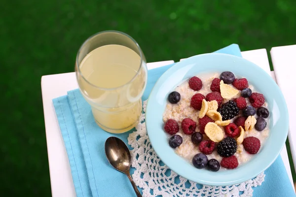 Oatmeal in plate with berries on napkin on table on grass background — Stock Photo, Image