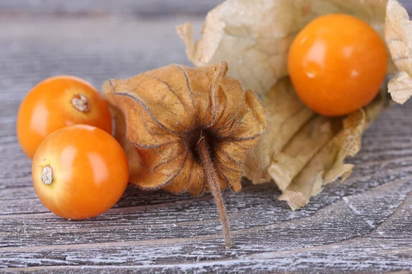 Physalis-Früchte auf Holz-Hintergrund — Stockfoto