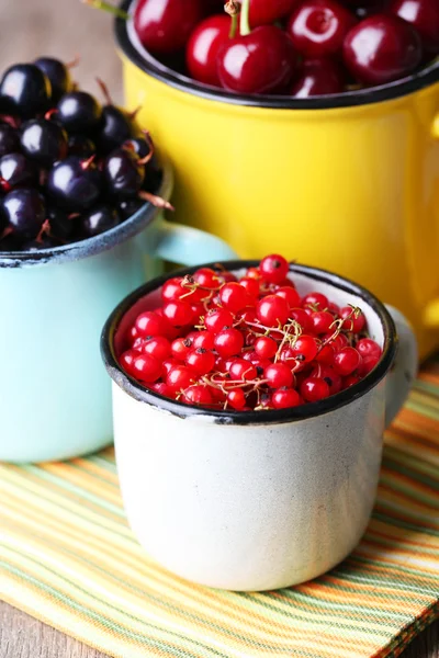 在颜色杯子夏季莓 — 图库照片