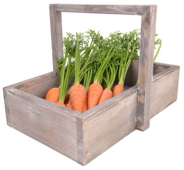 Свежая морковь в ящике — стоковое фото