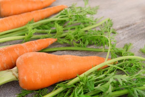 Fresh carrot with leaves — Stock Photo, Image
