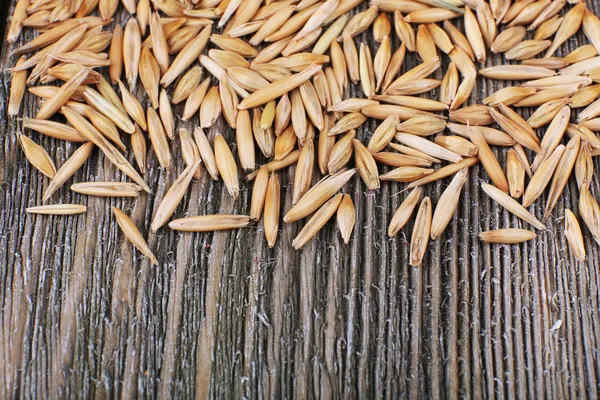 호 밀 곡물, 클로 우즈 업 — 스톡 사진