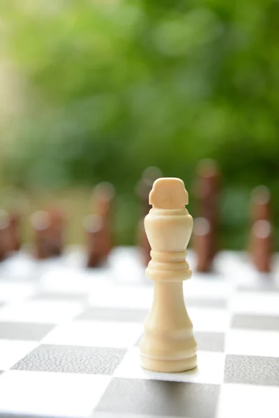 Schaakbord met schaakstukken — Stockfoto