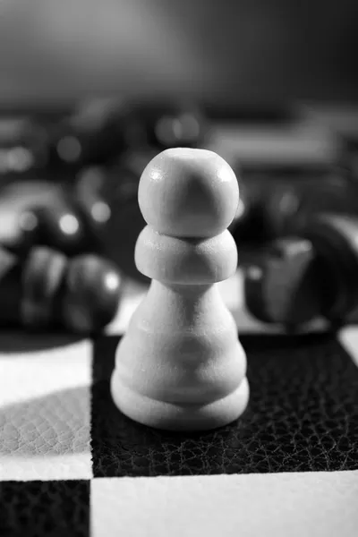 Quadro de xadrez com peças de xadrez — Fotografia de Stock