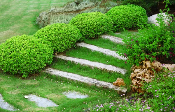 Güzel park peyzaj — Stok fotoğraf