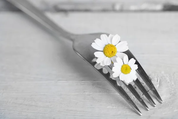 Forks with daisy flowers — Stock Photo, Image