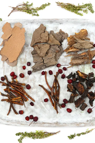Medicina herbal tradicional china —  Fotos de Stock