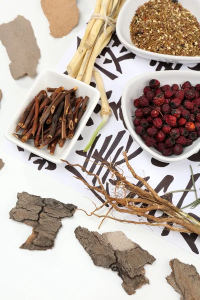 Medicina herbal chinesa tradicional — Fotografia de Stock