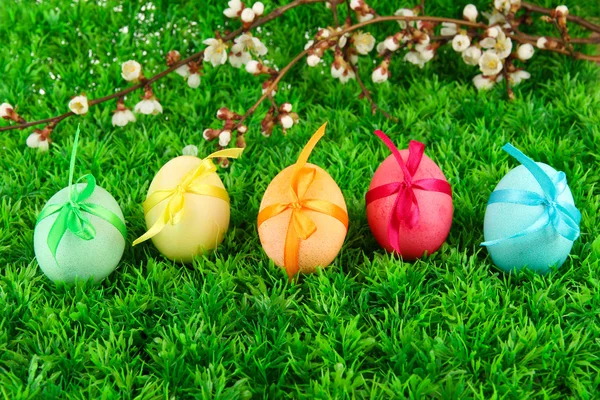 Colorful eastern eggs on  grass background — Stock Photo, Image