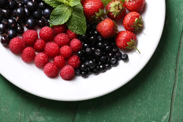 Forest berries on plate — Stock Photo, Image