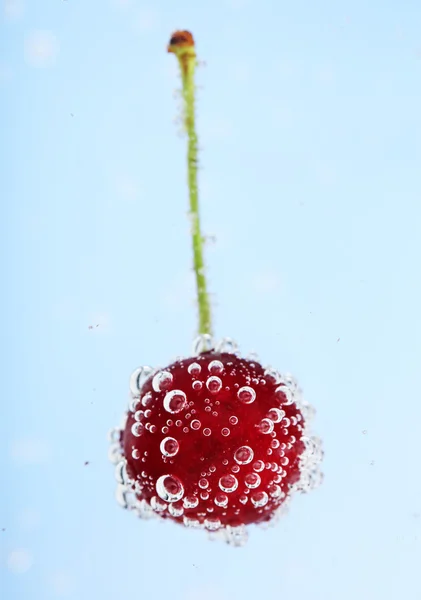 Cereja bonita na água — Fotografia de Stock