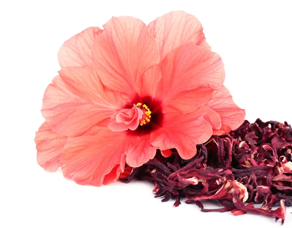 Hibiscus thé et fleur — Photo