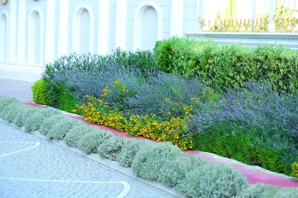 Walkway in park — Stock Photo, Image