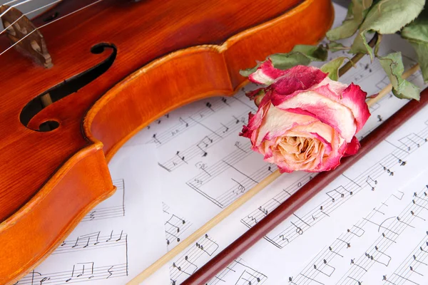 Classical violin on notes — Stock Photo, Image