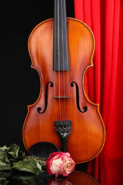 Klassieke viool op gordijn achtergrond — Stockfoto