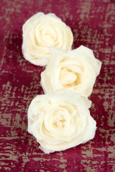 糖白玫瑰 — 图库照片