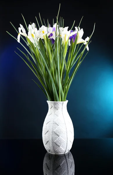 Beautiful irises on dark blue background — Stock Photo, Image