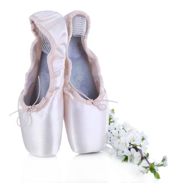 Ballet pointe schoenen met bloeiende tak geïsoleerd op wit — Stockfoto