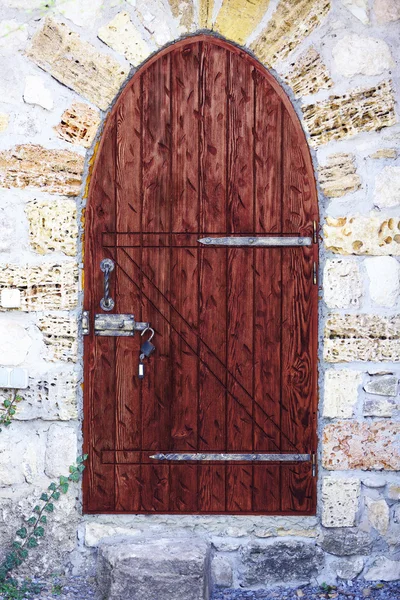 Old wooden door — Stock Photo, Image