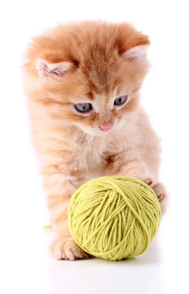 Gatinho vermelho pequeno bonito e bola de fio isolado em branco — Fotografia de Stock