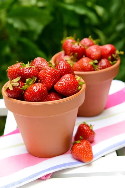 Fresas dulces maduras en macetas en la mesa en el jardín —  Fotos de Stock